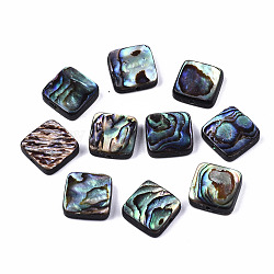 Perle di conchiglia abalone naturale / conchiglia paua, quadrato, colorato, 10x10x3.5mm, Foro: 1 mm