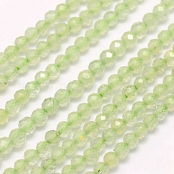 Perline Prehnite naturale fili, sfaccettato, tondo, 3mm, Foro: 0.5 mm, circa 132pcs/filo, 15.7 pollice (40 cm)
