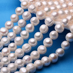 Fili di perle di perle d'acqua dolce coltivate naturali, beige, 11~12mm, Foro: 0.8 mm, circa 33~38pcs/filo, 13.7 pollice~15.7 pollici