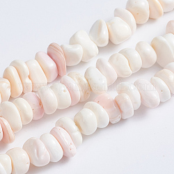 Fili di perle di conchiglia rosa naturale, pepite, 5~7x5~7x2~4mm, Foro: 0.6 mm, circa 132pcs/filo, 15.94 pollice (40.5 cm)