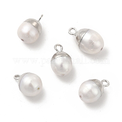 Ciondoli perla naturale, fascini ovali, con passanti in ottone, bianco, platino, 13~16x8~10x8~10mm, Foro: 1.8 mm