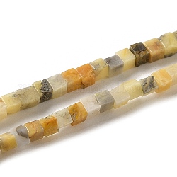 Fili di perline agata pazzesco naturale, cubo, 2~2.5x2.5~3.5x2.5~3mm, Foro: 0.4 mm, circa 157~165pcs/filo, 14.96~15.75'' (38~40 cm)