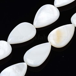 Chapelets de perles en coquillage naturel, goutte , blanc crème, 21~22x13~14x3~4mm, Trou: 1.5mm, Environ 17 pcs/chapelet, 14.06 pouce (35.7 cm)