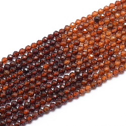 Fili di perle di granato arancione naturale, sfaccettato, tondo, 2mm, Foro: 0.4 mm, circa 197pcs/filo, 15.55 pollice (39.5 cm)