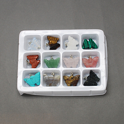 Ciondoli gemstone, con chiusure in ottone, pietra misto, farfalla, colore misto, 20x25x5mm, Foro: 6x2 mm, 12pcs/scatola
