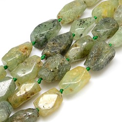 De piedras preciosas abalorios naturales prehnita hebras, pepitas, 20~45x10~25mm, agujero: 2 mm, aproximamente 10~12 pcs / cadena, 15.74 pulgada