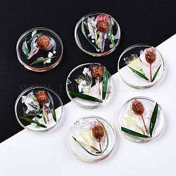 Cabochons transparents en résine époxy, avec fleurs séchées et coquille, plat rond, Sienna, 20x7mm