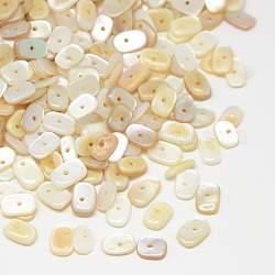 Copeaux de perles en coquille d'eau douce naturelle teinte, blanc antique, 7~10x5~7x1~4mm, Trou: 1mm, environ 260 pcs/50 g
