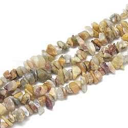 Chapelets de perles d'agate naturelle, puce, 5~11x3~9x1~9mm, Trou: 1mm, Environ 200~300 pcs/chapelet, 33.8 pouce