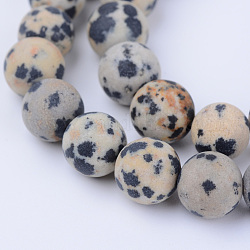 Chapelets de perles en jaspe dalmatien naturelle, mat, ronde, 8~8.5mm, Trou: 1mm, Environ 47 pcs/chapelet, 15.5 pouce