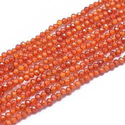 Zirkonia Perlen Stränge, facettiert, Runde, Tomate, 2 mm, Bohrung: 0.5 mm, ca. 169 Stk. / Strang, 15.7 Zoll (40 cm)