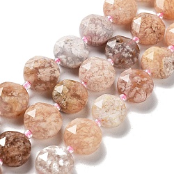 Chapelets de perles en agate naturelle de fleurs de cerisier, avec des perles de rocaille, coupe hexagonale facettée, plat rond, 12~12.5x5~6mm, Trou: 1.2~1.4mm, Environ 27~29 pcs/chapelet, 15.55~15.75 pouce (39.5~40 cm)