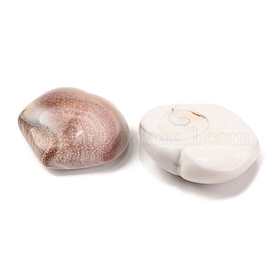Натуральные кабошоны из ракушек глаз Шивы SHEL-H006-01B-1