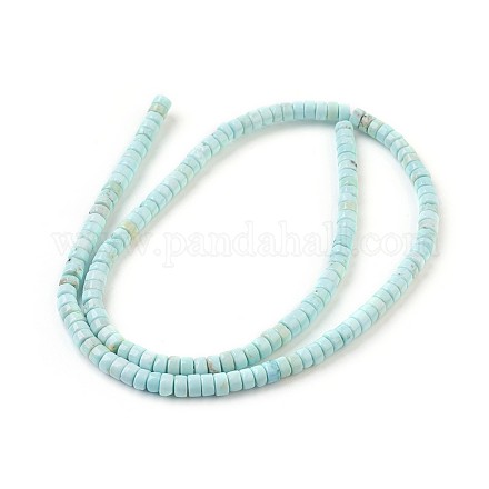 Natural Howlite Beads Strands X-G-P398-F-1