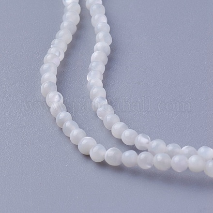 Chapelets de perles de coquillage SSHEL-E571-39-2mm-1