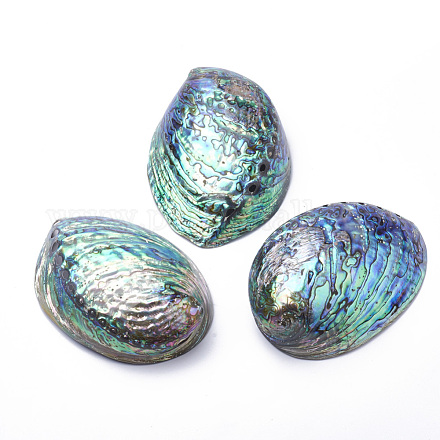 Perles de coquillage paua naturel SSHEL-Q298-22-1