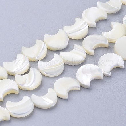 Shell normal de perles blanches de brins X-SSHEL-12X11-1