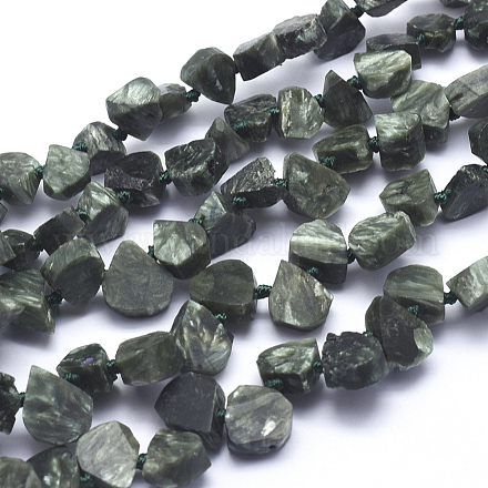 Natural Seraphinite Beads Strands G-K223-13-1
