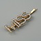 Word MISS Alloy Rhinestone Hair Bobby Pins, Hair Accessories for Girls, Light Gold, 71x17x7mm, MISS: 17.5x44mm