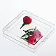 Transparente Kunststoffperlenbehälter&nbsp;LS-CON-WH0020-04-1