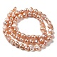 Natural Cultured Freshwater Pearl Beads Strands PEAR-E017-29-2