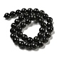 Natural Agate Round Beads Strand G-L084-10mm-28-5