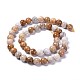 Natural Fossil Coral Beads Strands G-D135-8mm-01-2