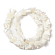 Chapelets de perles de coquille de trochid / trochus coquille SSHEL-R145-02-5