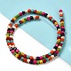 Dyed Synthetic Turquoise Beads Strands G-G024-A01-01-2
