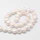 Cuentas perlas de concha de perla BSHE-L028-01-10x12-2