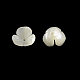 Flower Natural Trochid Shell/Trochus Shell Beads SSHEL-F290-05B-A-2