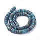 Chapelets de perles en turquoise de HuBei naturelle G-F592-05-2