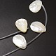 Chapelets de perles de coquille de trochid / trochus coquille SSHEL-K009-12-3