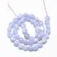 Chapelets de perles d'agate naturelle X-G-R445-8x10-10-2