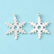 Подвеска из тибетского сплава LF0353Y-NFS