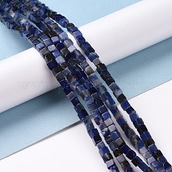 Perline sodalite naturale fili&nbsp;G-F631-K17