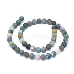 Природного индийского агата бисер нитей&nbsp;G-D0005-24-8mm