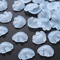 Прозрачные стеклянные подвески для выпечки&nbsp;DGLA-Q025-002