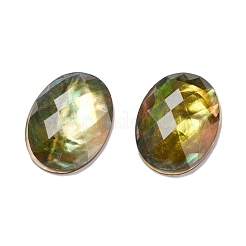 Cabochon conchiglia paua&nbsp;SSHEL-C008-05