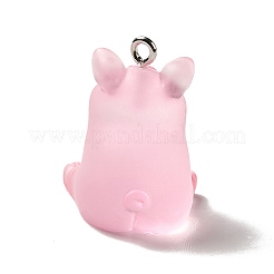 Подвески из полупрозрачной смолы RESI-E031-01P-02