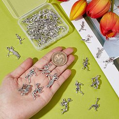 Подвески из сплава в тибетском стиле&nbsp;FIND-SC0003-69