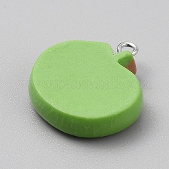 Pendentifs en résine opaque&nbsp;LS-RESI-CJC0029-001C-01