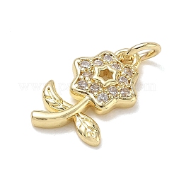 Ottone con pendenti in strass&nbsp;KK-CBAD872-01G-06
