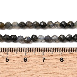 Природные иолит нитей бисера&nbsp;G-G343-B01-4mm