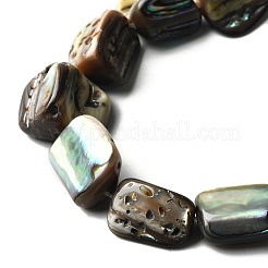 Нити бусин из натуральной раковины морского ушка/ракушки пауа BSHE-D300-01A