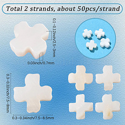 2 нить бусин из натуральных пресноводных ракушек SSHEL-SC0001-38