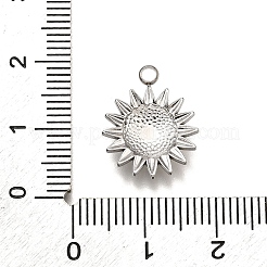 Подвески из нержавеющей стали 304&nbsp;LS-STAS-M116-09P