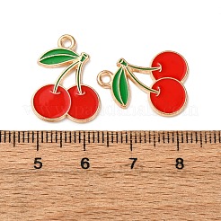 Anhänger aus Emaille-Legierung mit Früchten&nbsp;FIND-D304-03D-KCG