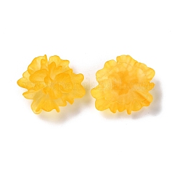 Прозрачные смолы кабошоны&nbsp;RESI-G027-01C