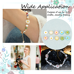 20шт натуральные пресноводные бусины из ракушек SHEL-NB0001-61